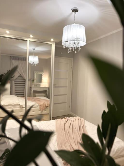 Apartament Zamojski Mlynska Zamość Eksteriør bilde