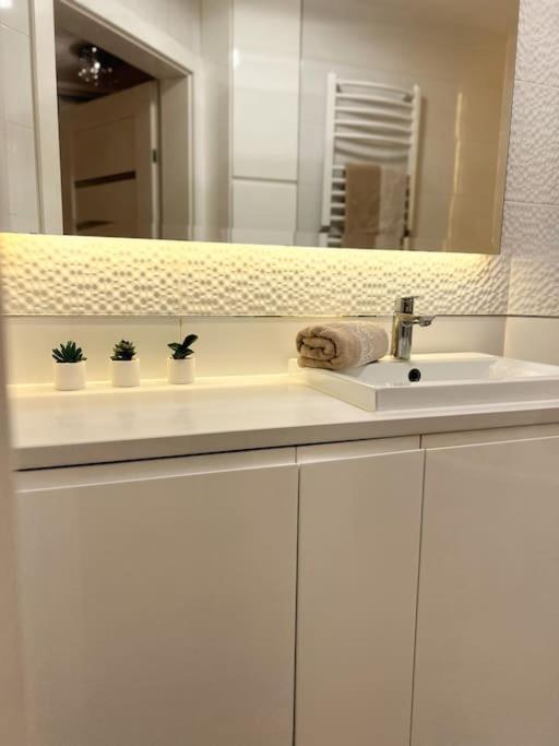 Apartament Zamojski Mlynska Zamość Eksteriør bilde